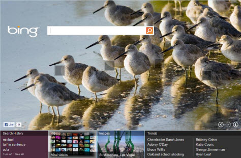 Visual appeal drives Bing’s desirability